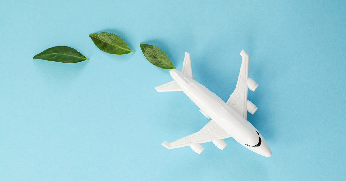 Carbon Offset, What You Should Know Before Your Next Flight