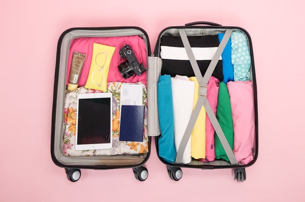 Smart Travellers Put these in their Carry-on